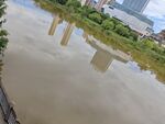 城市河畔浑浊水面景象