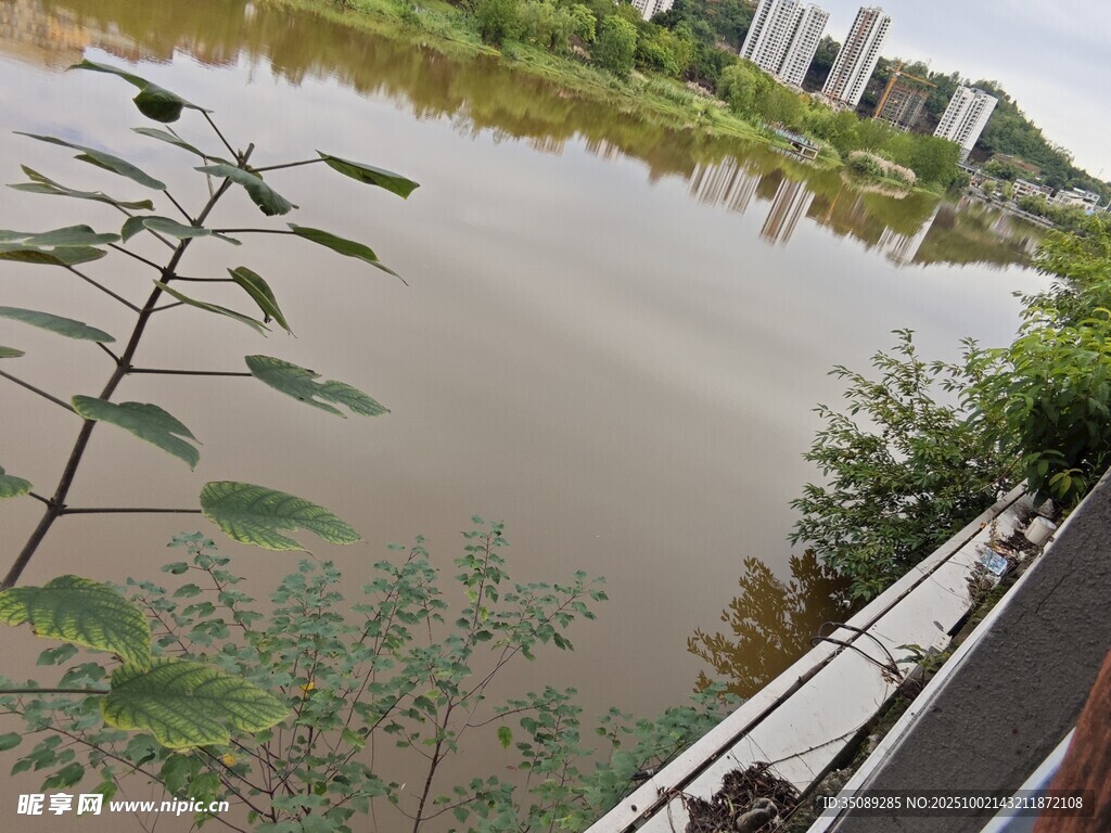 河畔风光绿植环绕水域