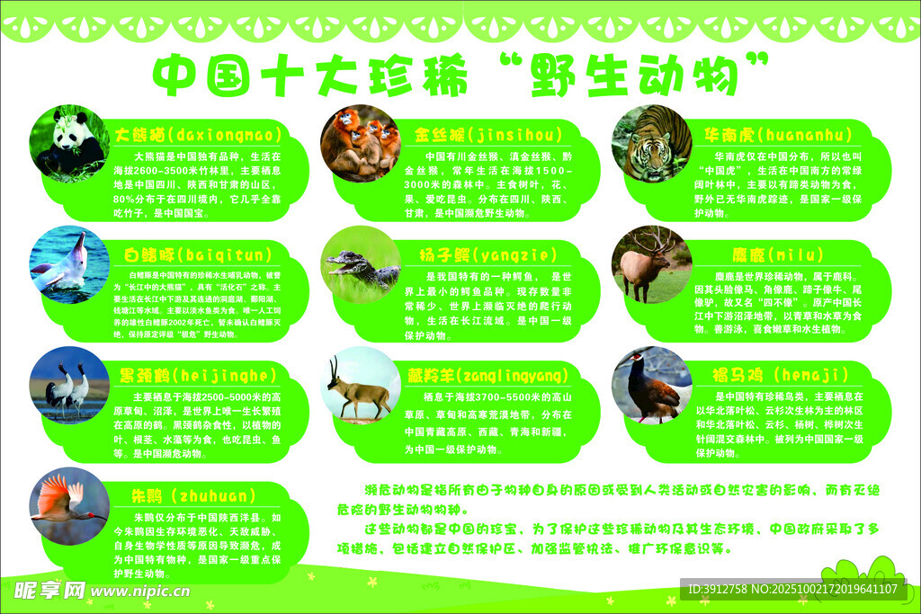 中国十大珍稀动物介绍