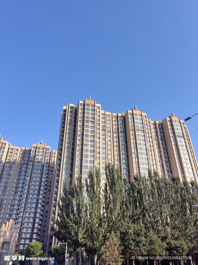 高楼林立间的绿树景观