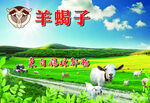 草原羊蝎子养殖场景