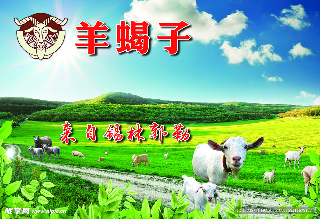 草原羊蝎子养殖场景