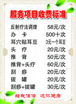 服务项目收费标准