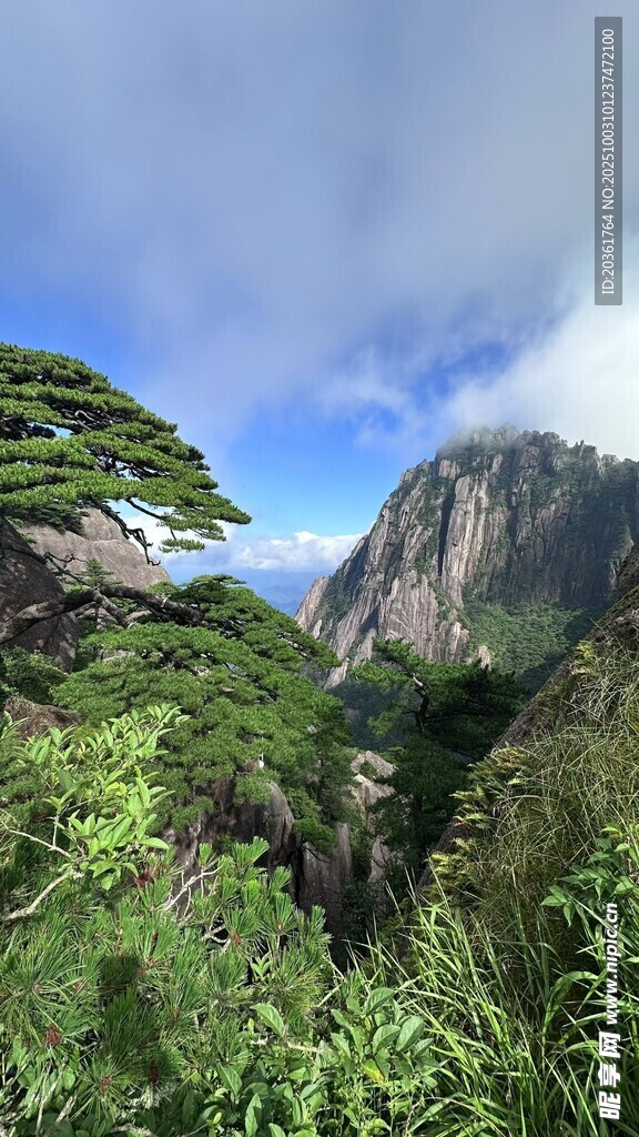 黄山秀丽风光