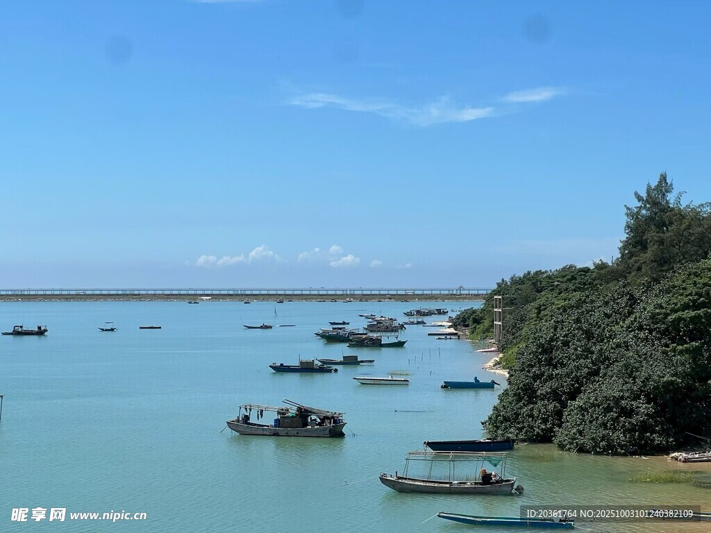 湖畔停泊的众多船只