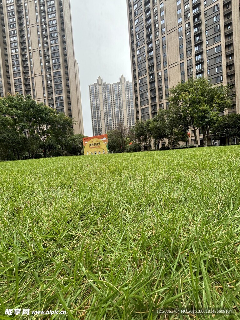 城市草坪旁的高楼景观