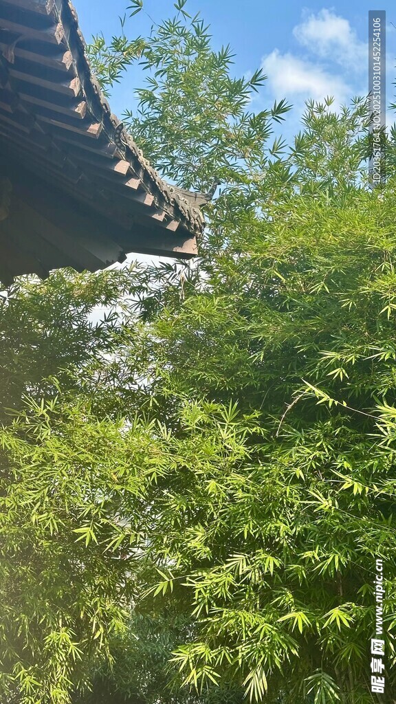中式屋檐下的葱郁绿植