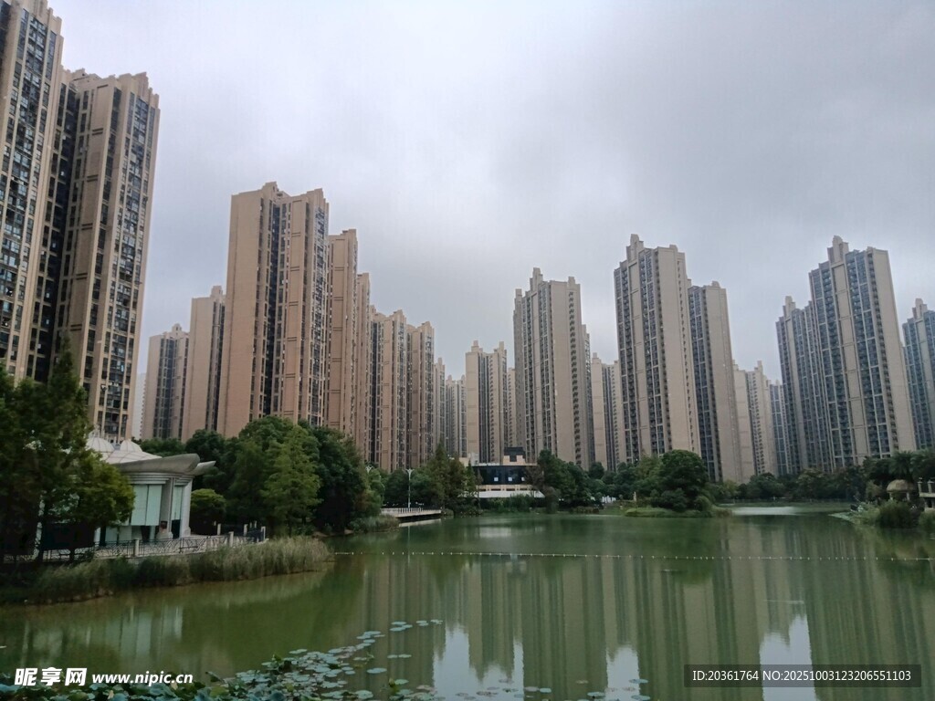 湖畔高楼林立的城市美景