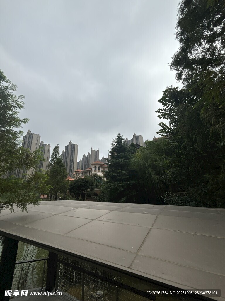 屋顶视角下的城市与绿树