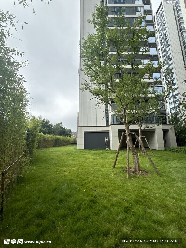 高层住宅旁的翠绿草坪