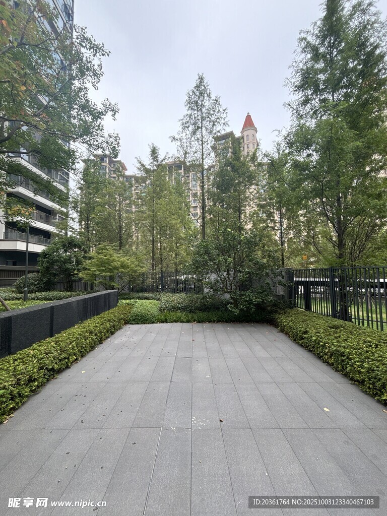 现代小区中的静谧景观道