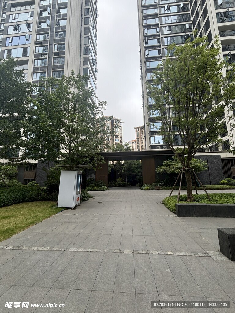 现代小区内的景观道路