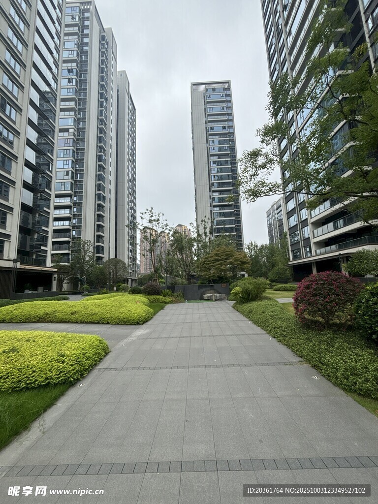 现代都市中的宁静步道