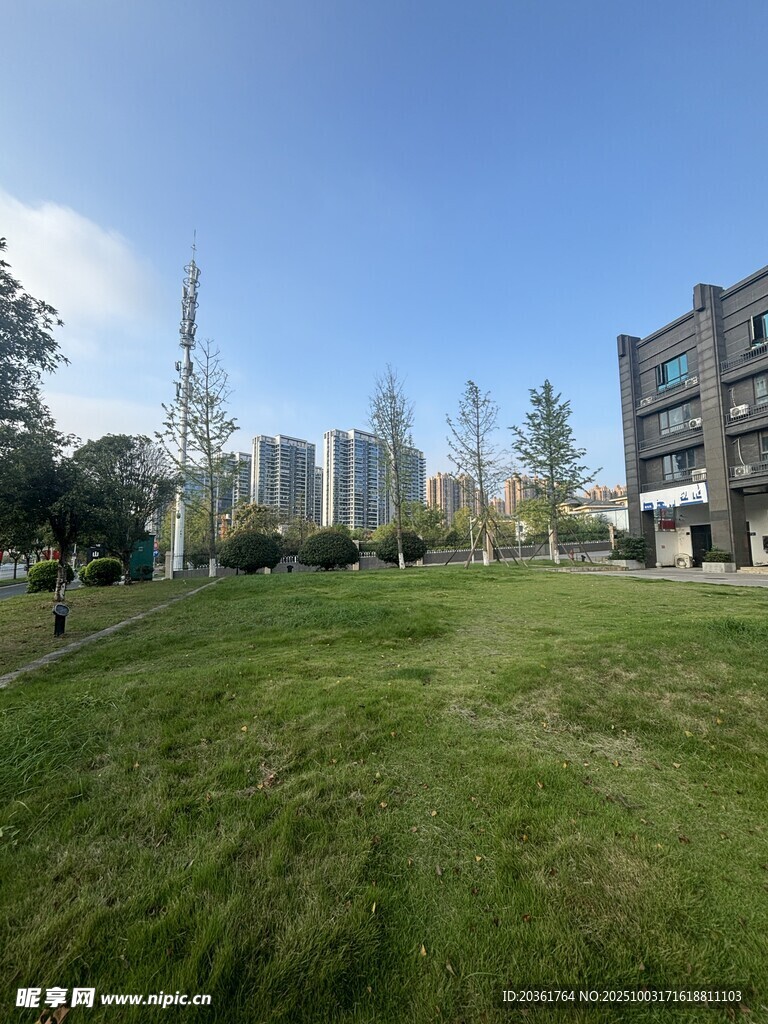 城市中的开阔绿地景观