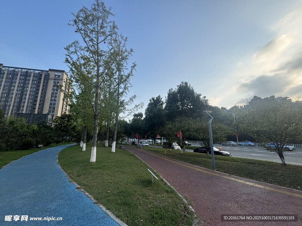 城市公园中的多彩步道景观
