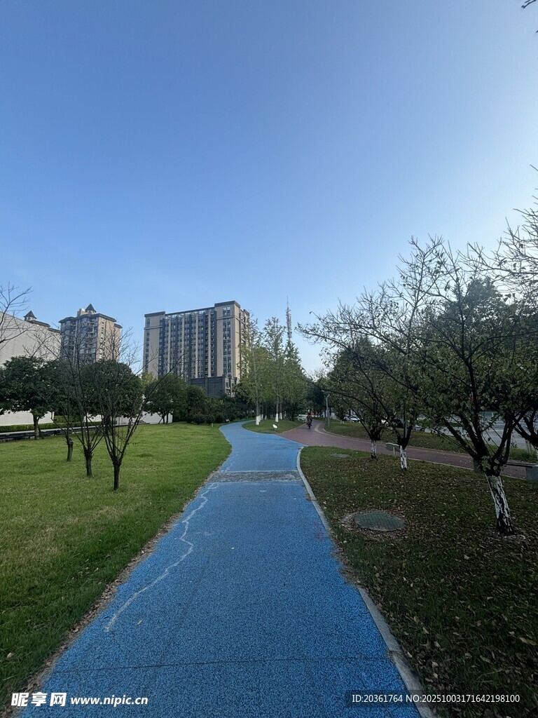 城市中蜿蜒的绿色步道