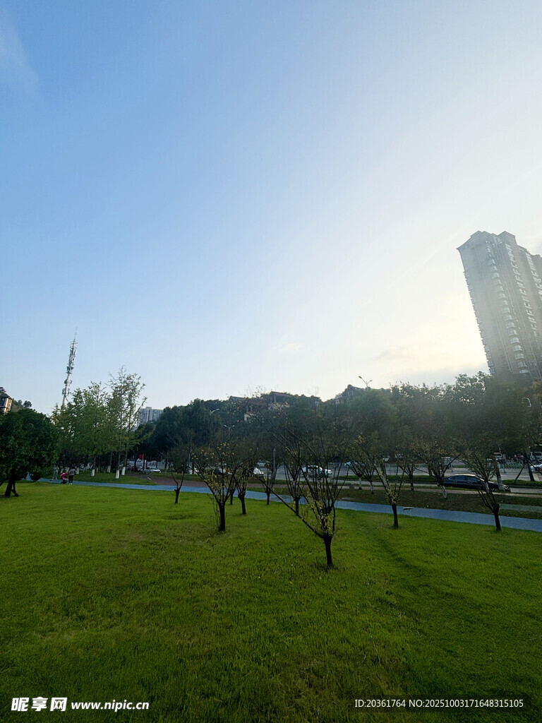 城市中的绿意草坪景观