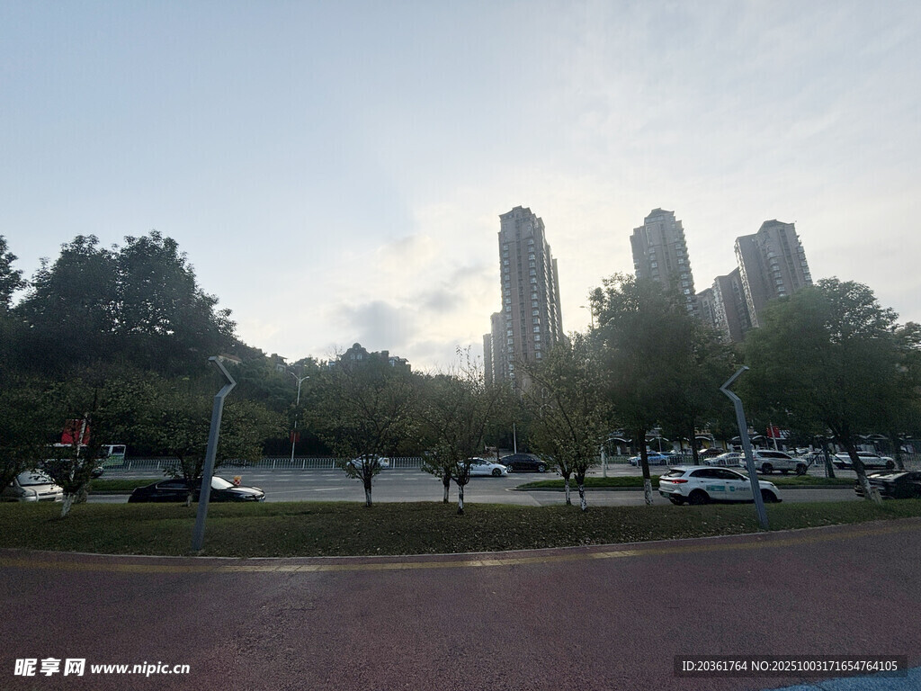 城市公园与远处高楼景观