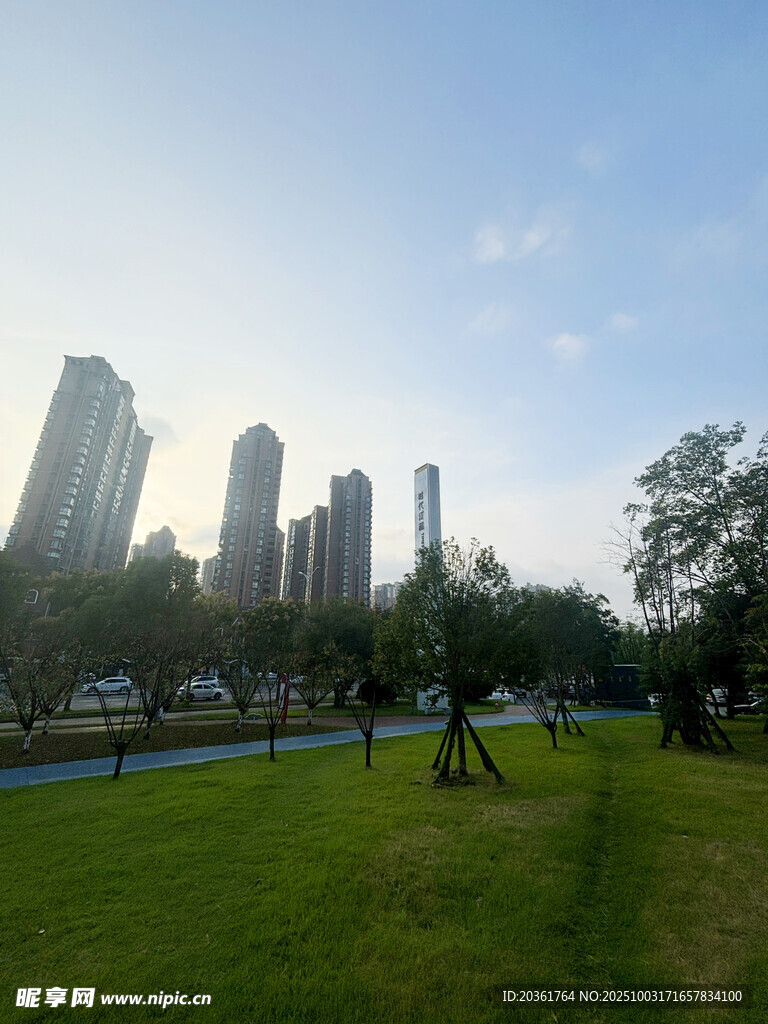 城市草坪上的休闲景象