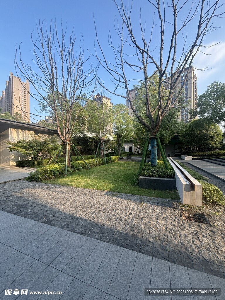 城市中静谧的户外休憩空间