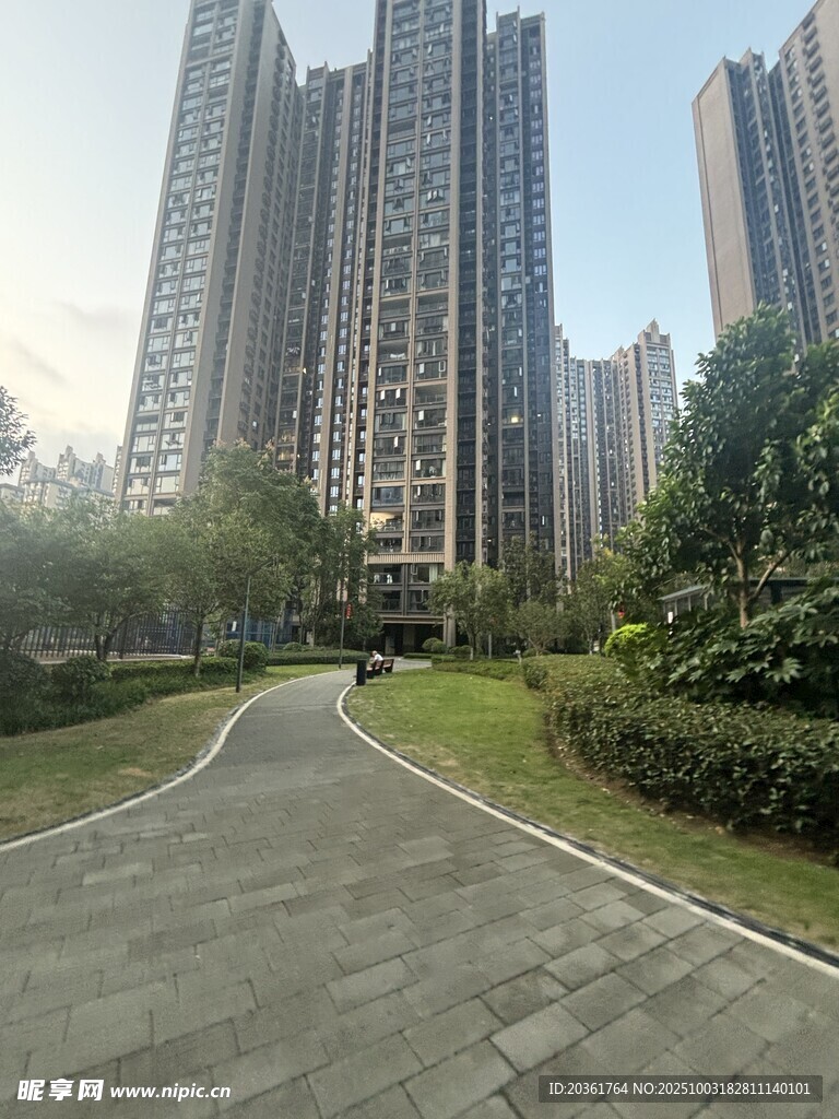 城市住宅区的静谧小路