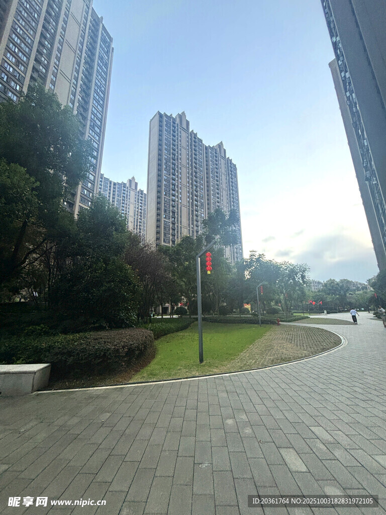 城市中的宁静街道景观