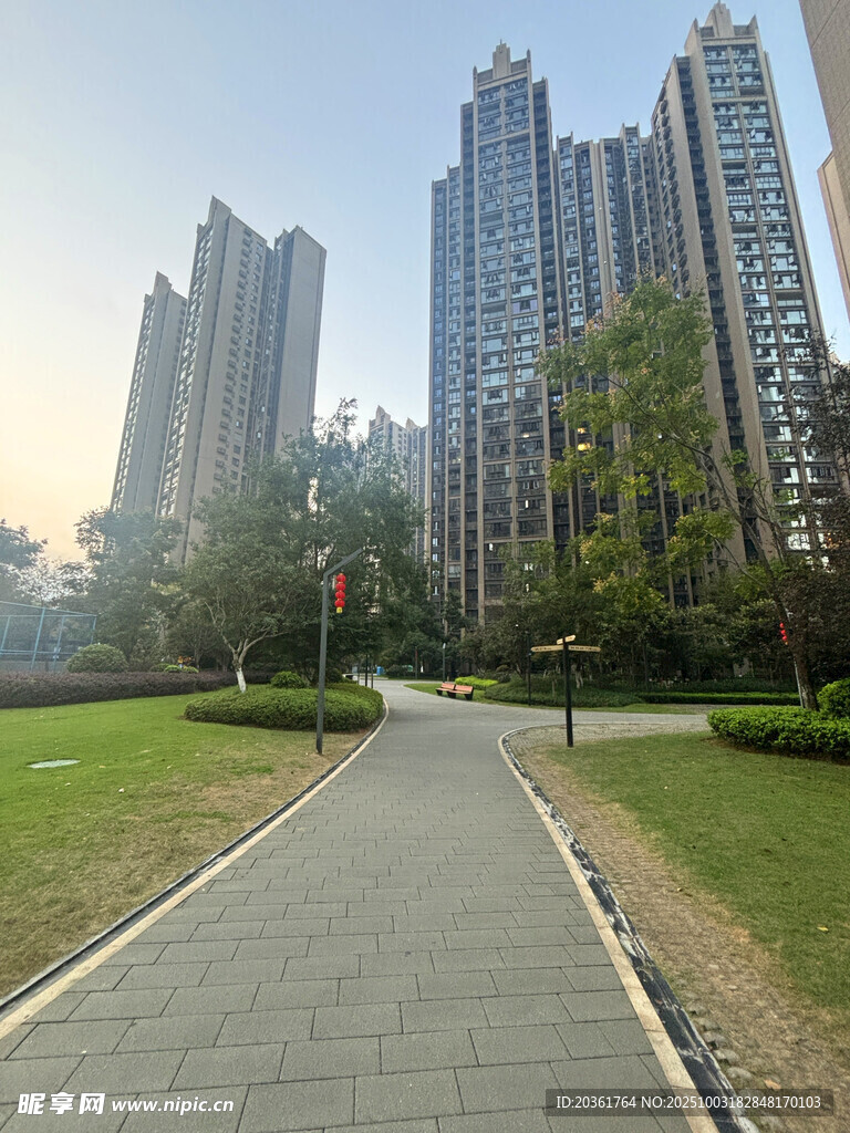 城市中的林荫步道与高楼