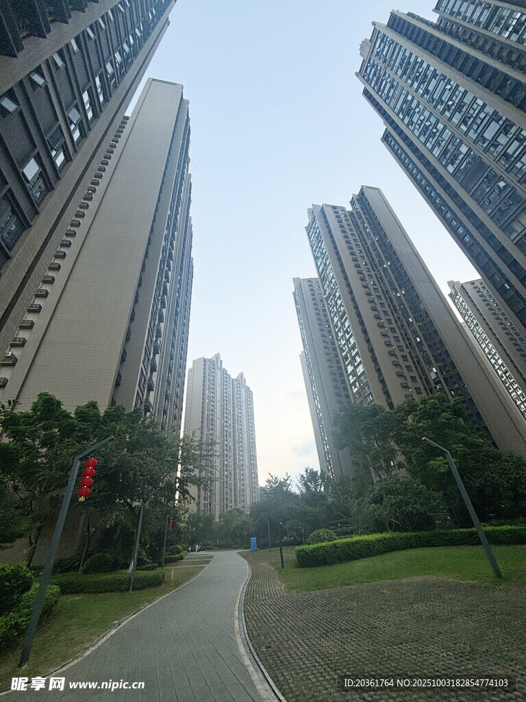 城市中的林荫高楼小道