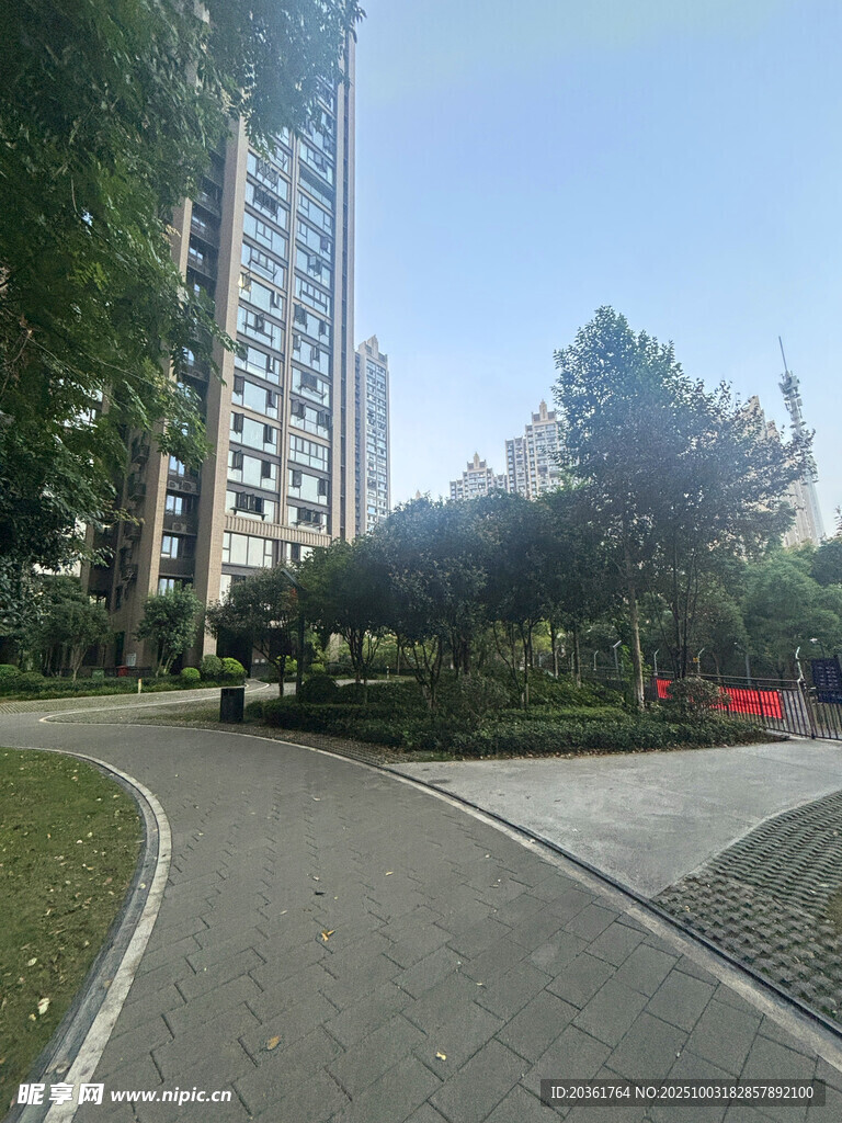 城市中的宁静绿化小径