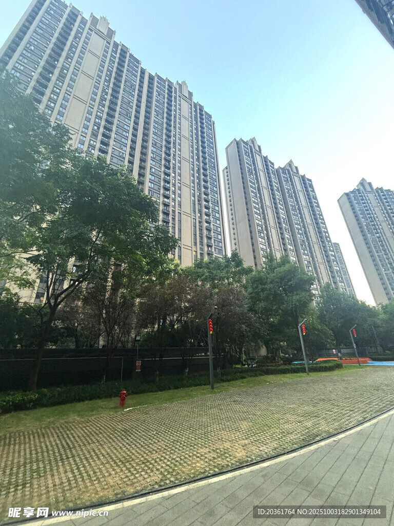 城市高楼旁的绿化景观