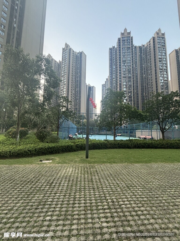 城市中开阔的绿地与高楼