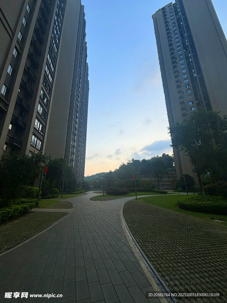 城市中静谧的道路与高楼