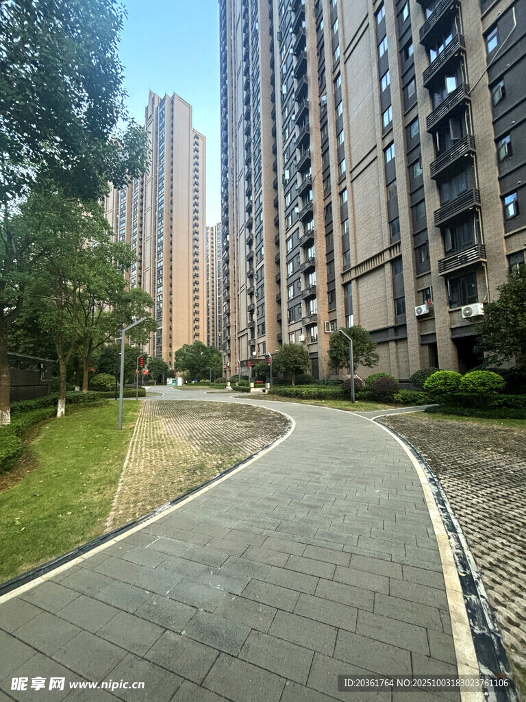 小区内的幽静道路与高楼