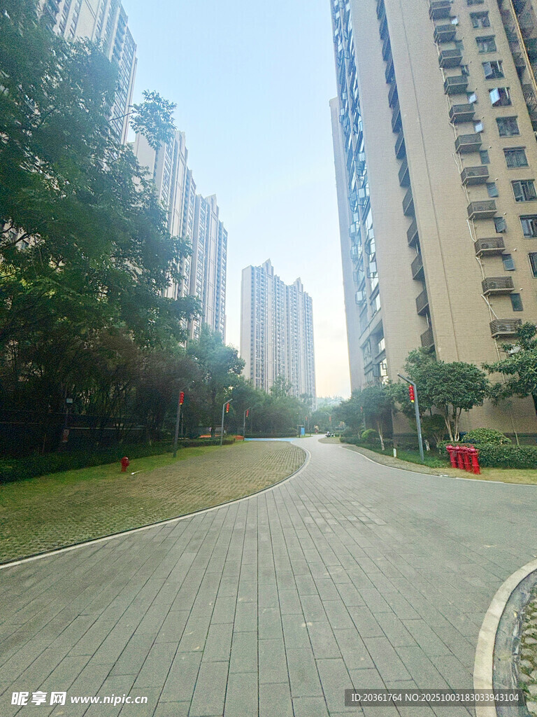 城市中宁静的林荫步道