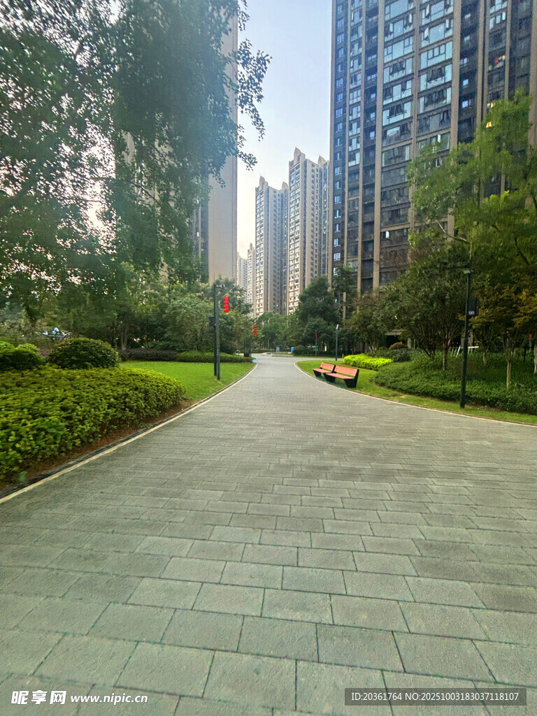 城市中的宁静林荫步道