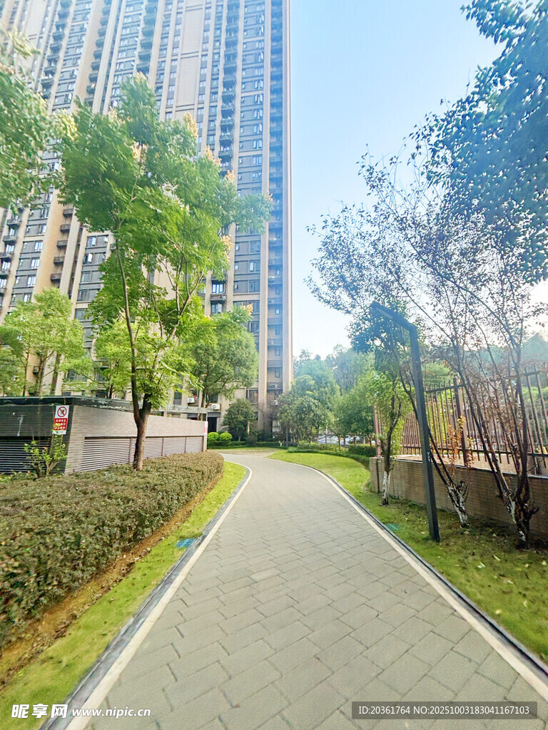 城市中的静谧林荫小道