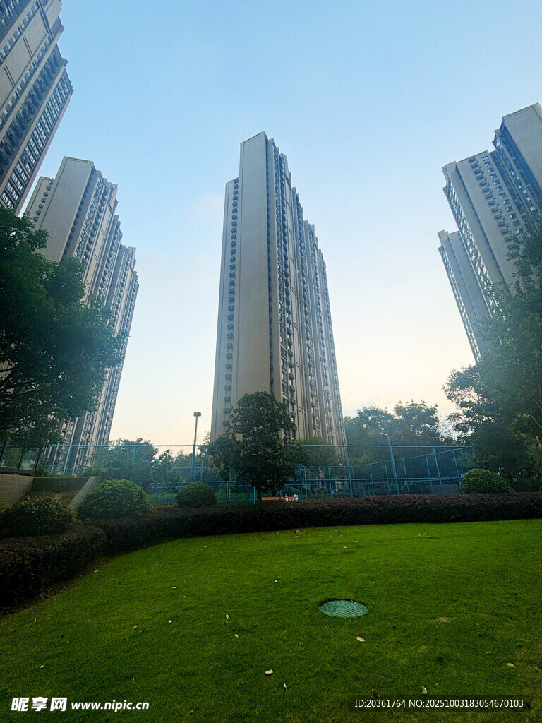 城市绿地旁的高楼景观