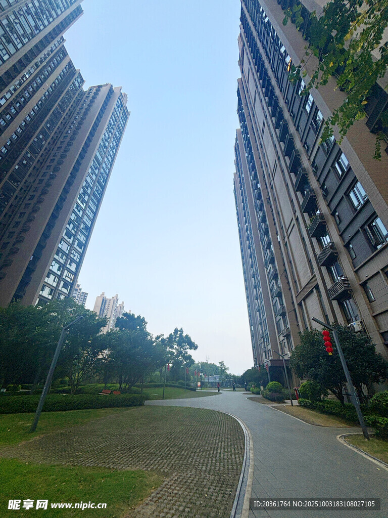 城市住宅区中的林荫小道