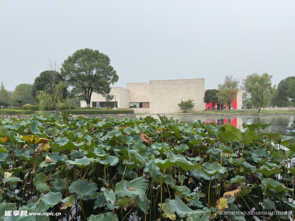美丽洲公园