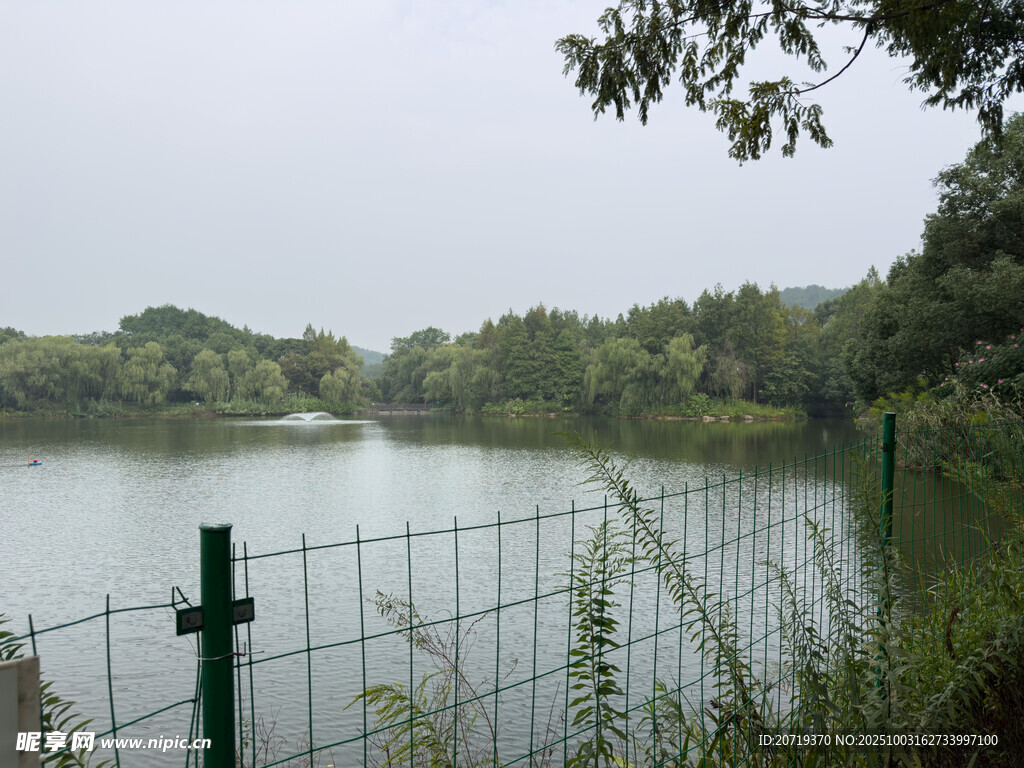 湖畔围栏边的静谧自然景