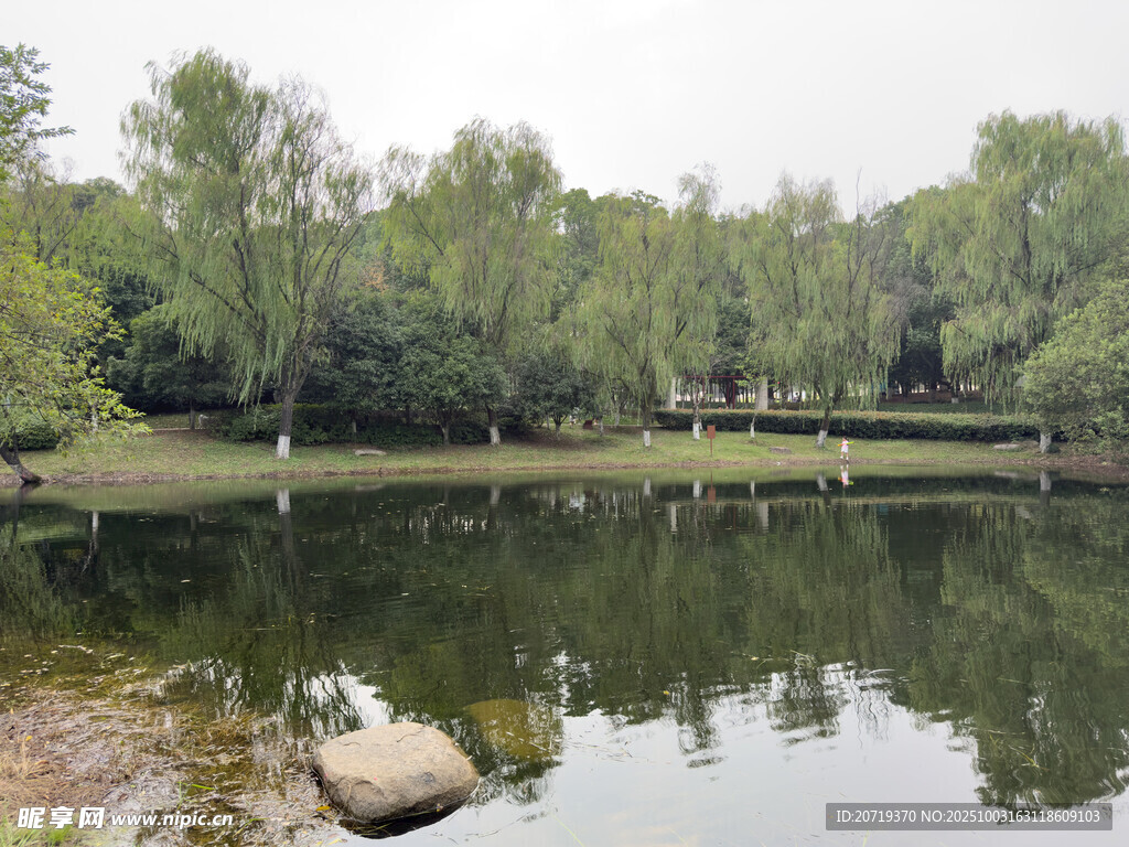 美丽洲公园