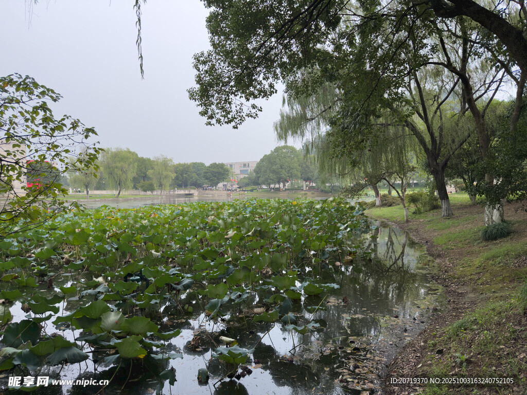美丽洲公园