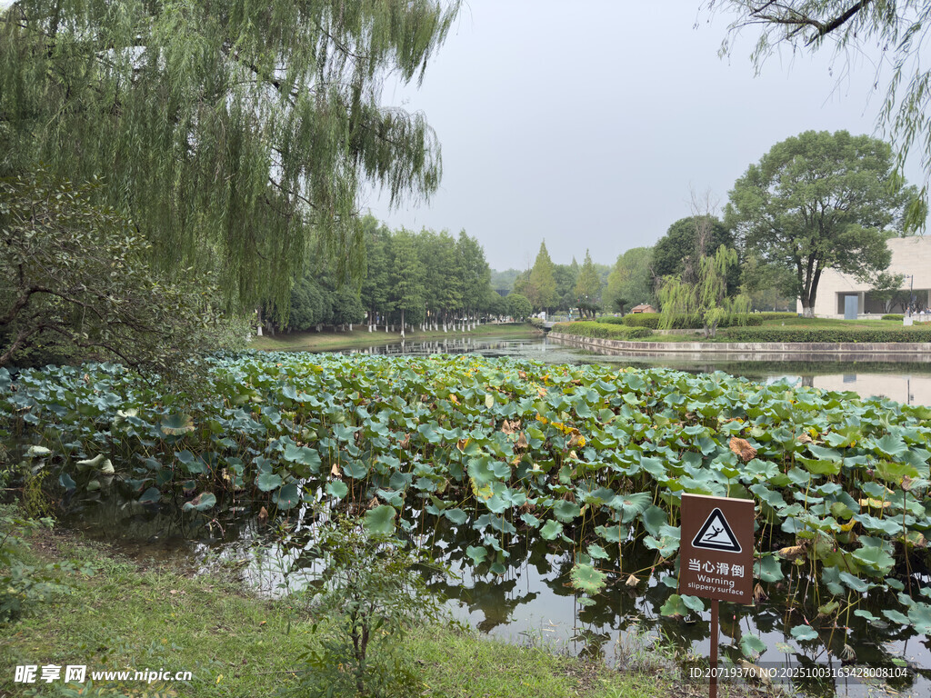 美丽洲公园