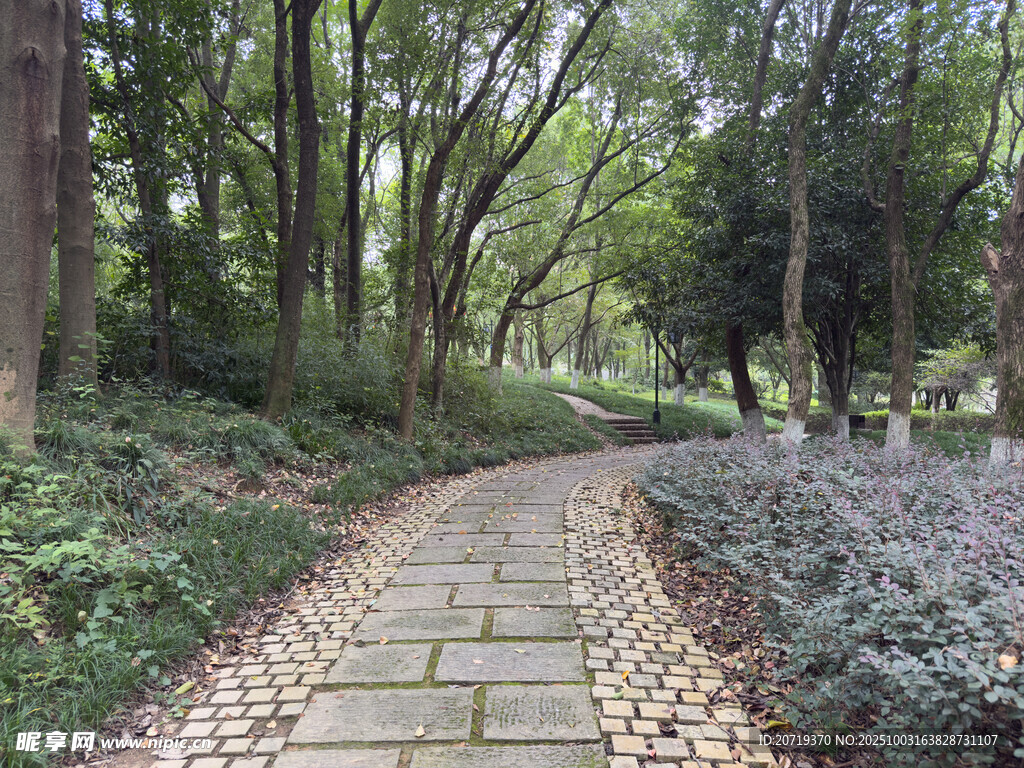 美丽洲公园