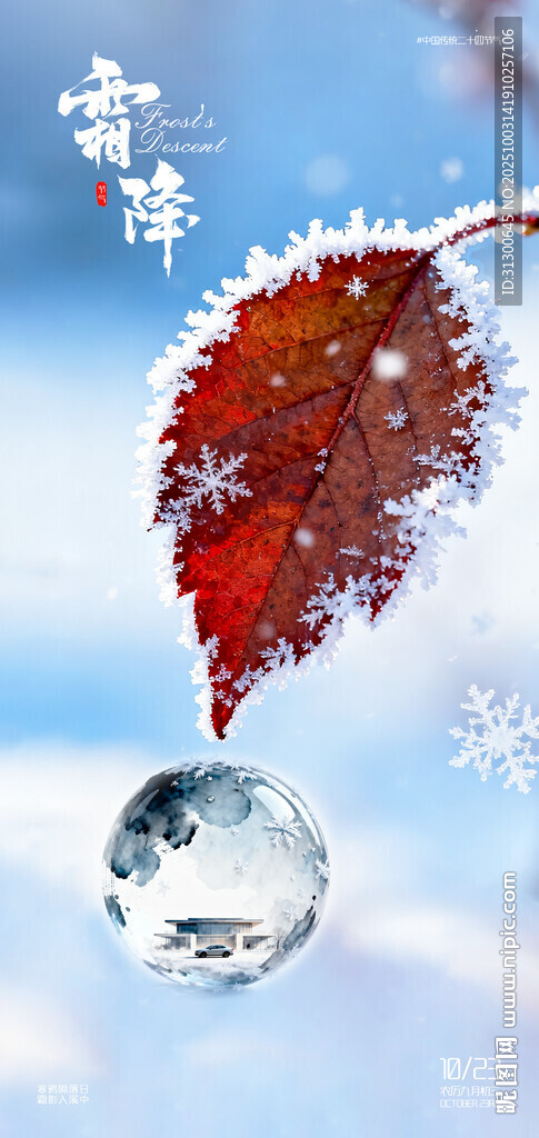 霜降节气海报