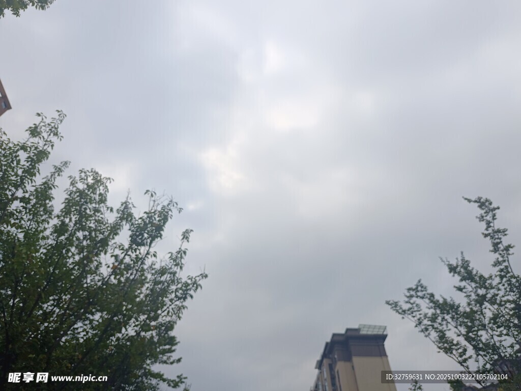 天空下的绿树与高楼