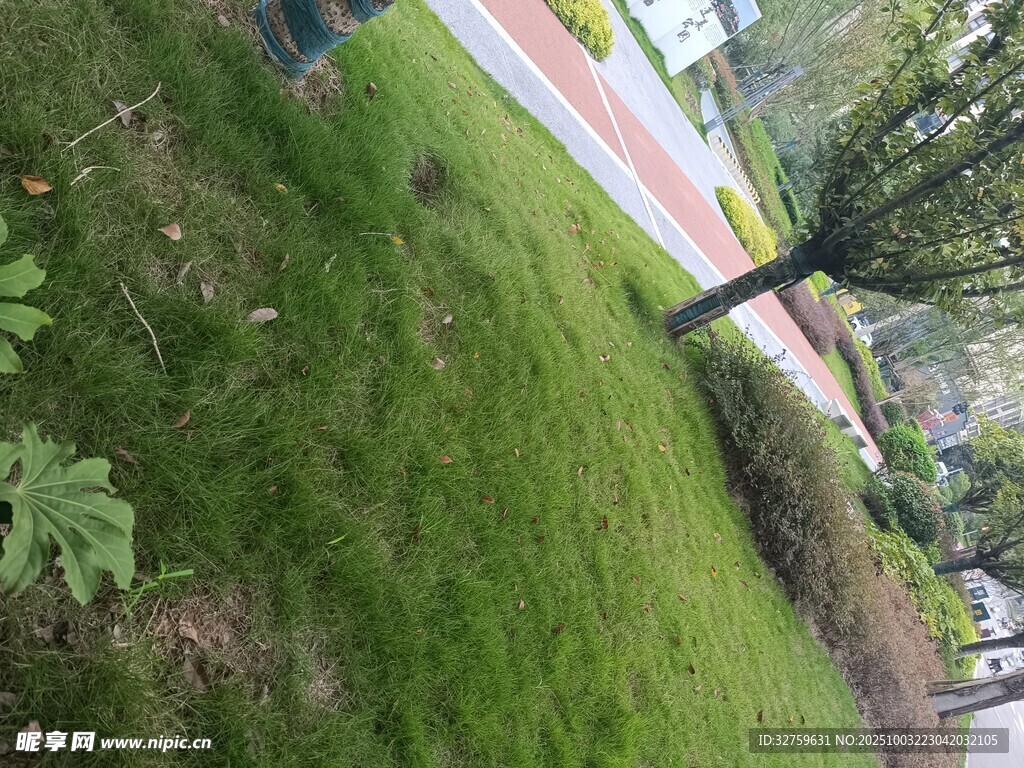 户外翠绿草地与周边景致
