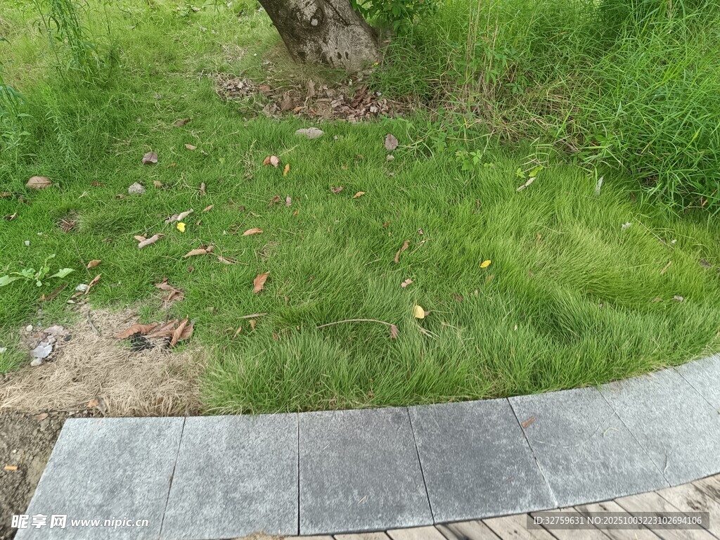 草地旁的弧形石板路