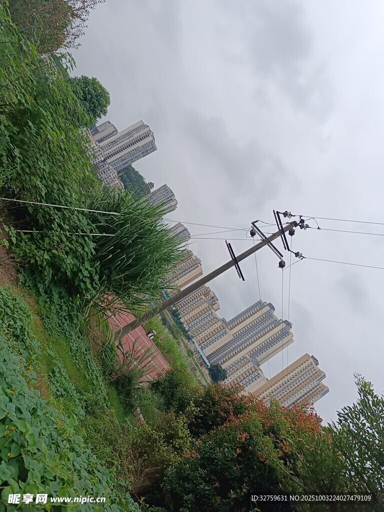 城郊绿植旁的高楼与电线杆
