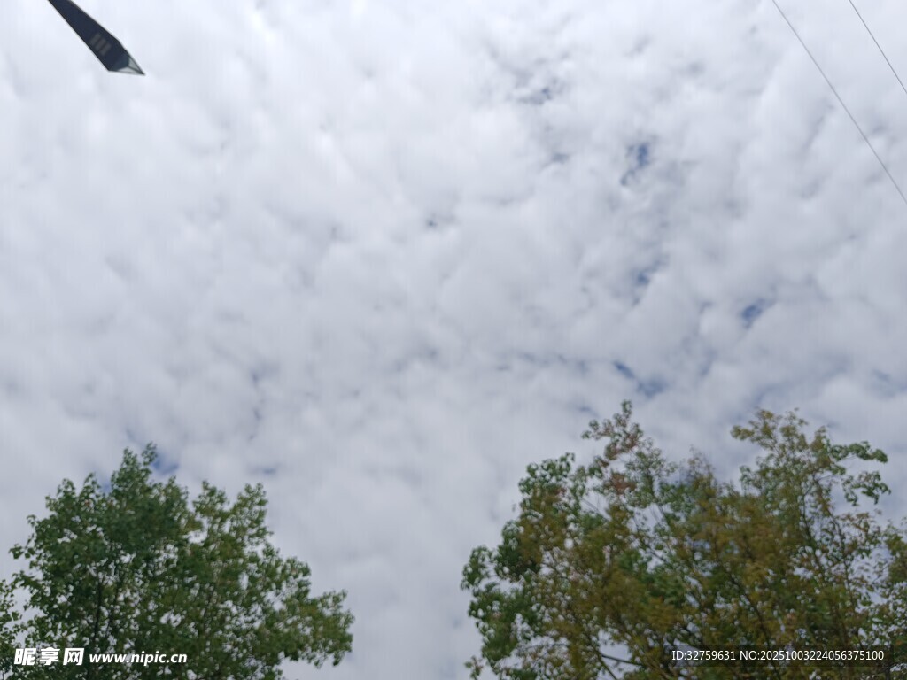 天空白云与绿树景致